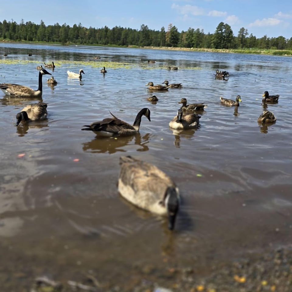 Lake