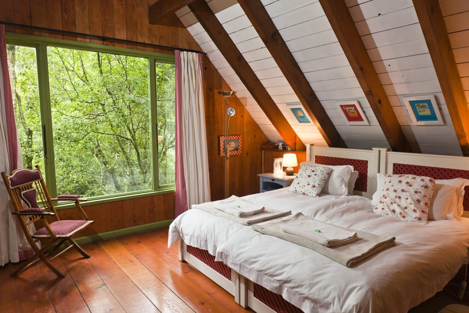 Forest Lodge | Premium bedding, in-room safe, individually decorated