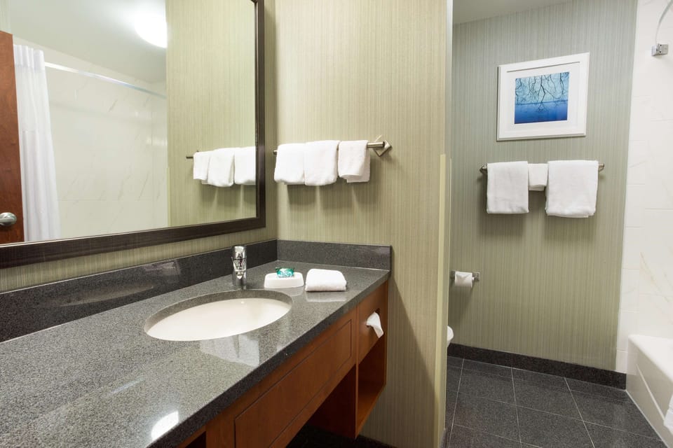 Combined shower/tub, free toiletries, hair dryer, towels