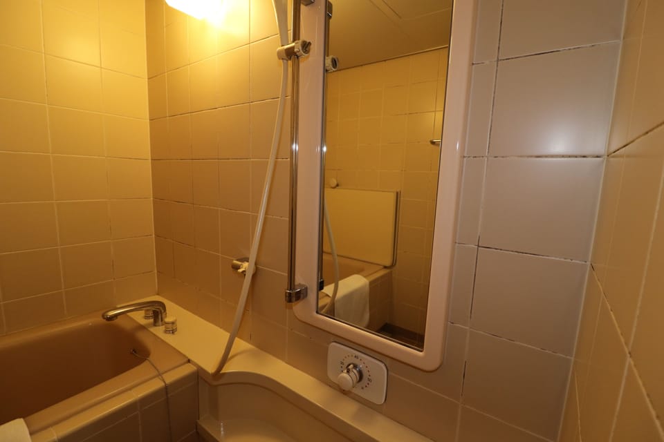 Free toiletries, hair dryer, slippers, bidet