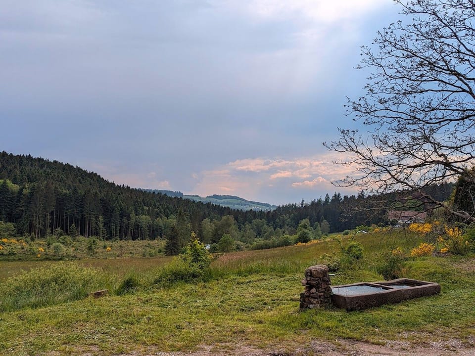 View from property