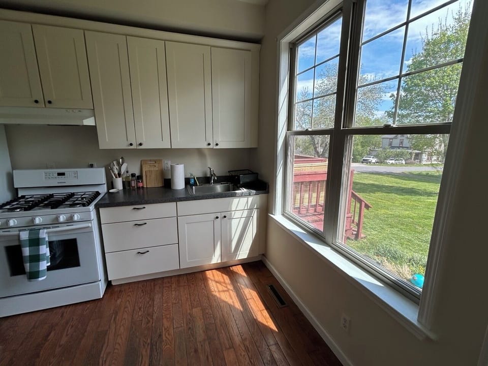South-facing kitchen windows