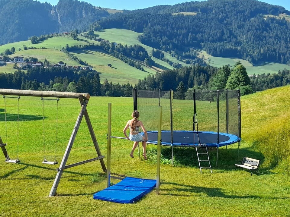 Trampoline, Trampolining--Equipment And Supplies, Leisure, Lawn, Shade, Trampolining, Park, Outdoor Play Equipment, Net