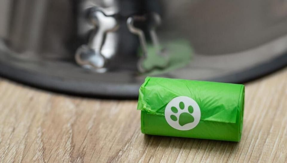 Pet-friendly amenities