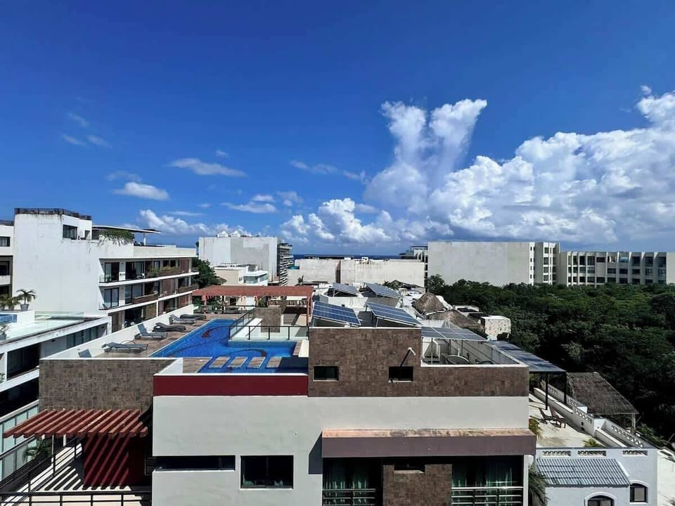 Shared rooftop pool with Playa del Carmen views
