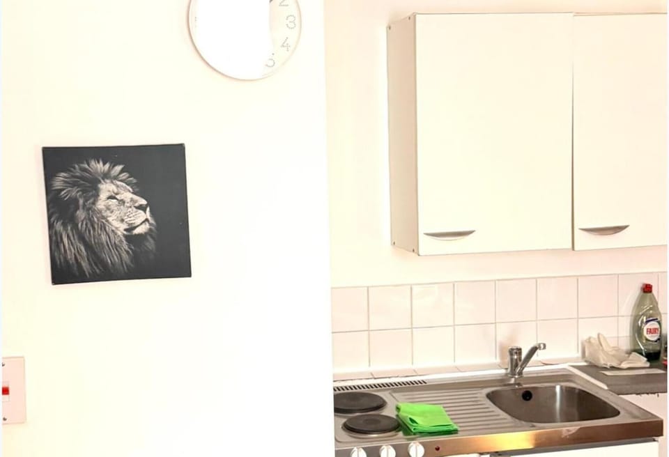 Fridge, microwave, oven