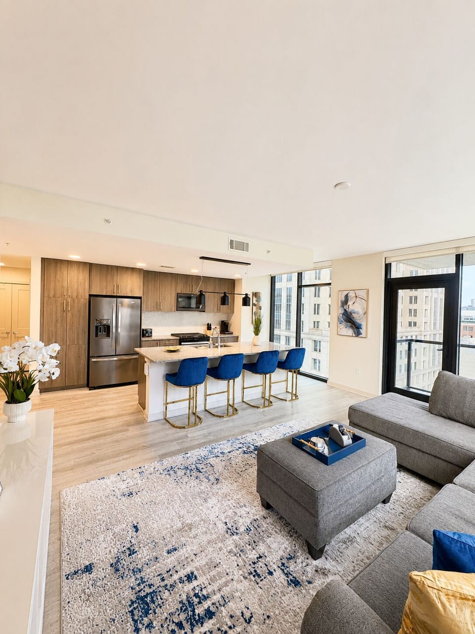 Livingroom/Kitchen Combo