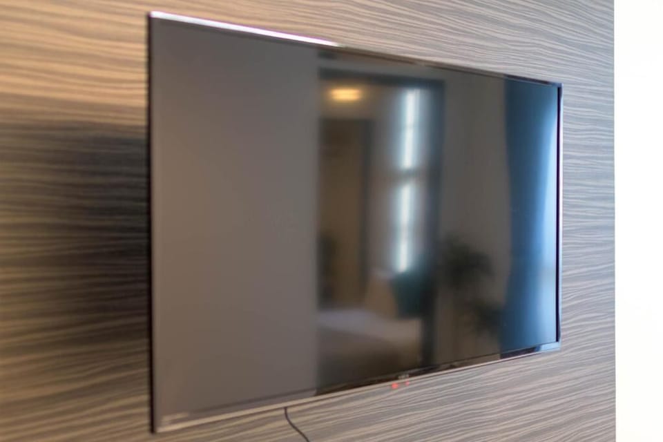 Television