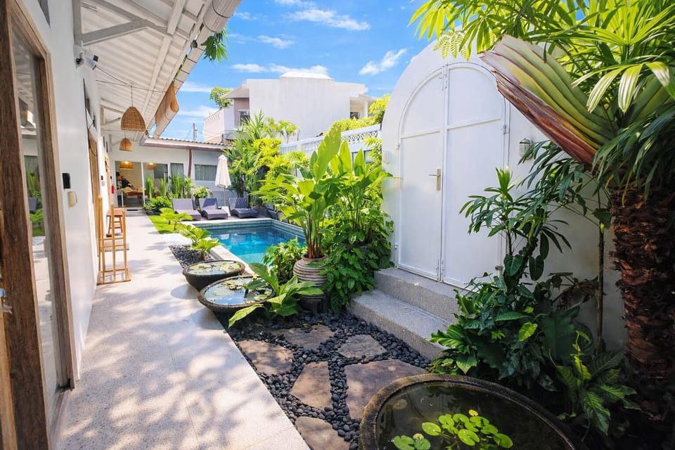 Swimming pool and garden area