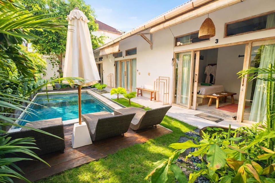 Swimming pool and garden area
