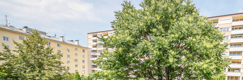 Double Room, 1 Bedroom | View from room