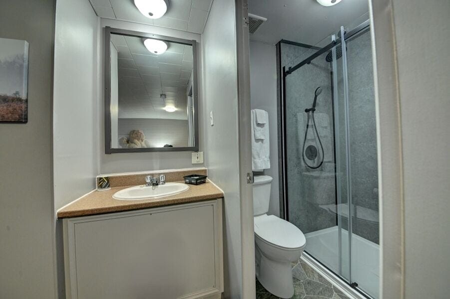 Combined shower/tub, free toiletries, hair dryer, towels