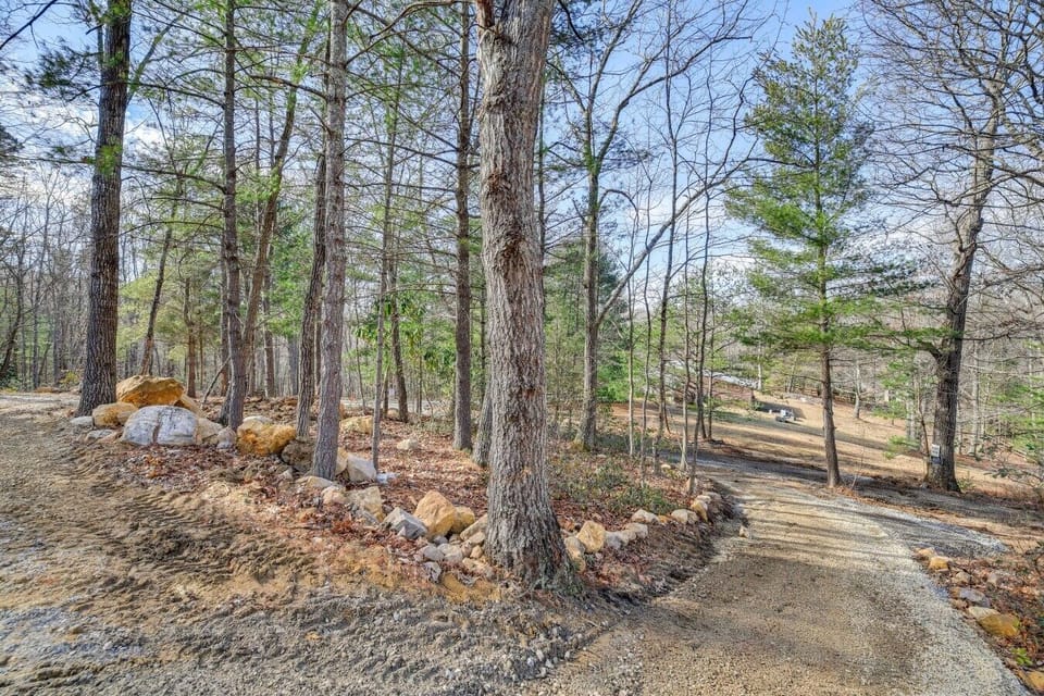 Trail | Natural Pathway | Wooded Surroundings