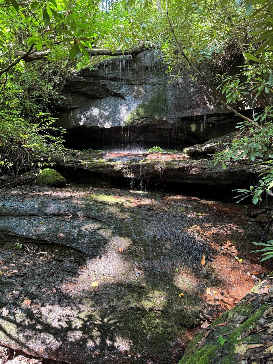Shady Falls