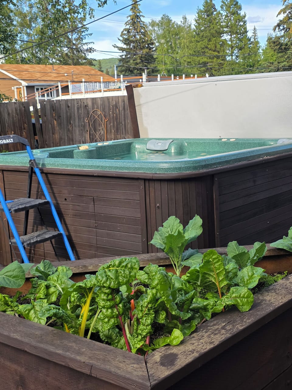 Outdoor spa tub