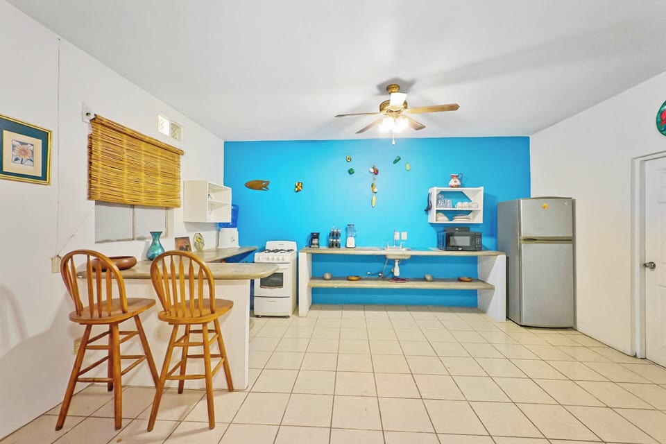 Kitchen | Blender | Drip Coffee Maker
