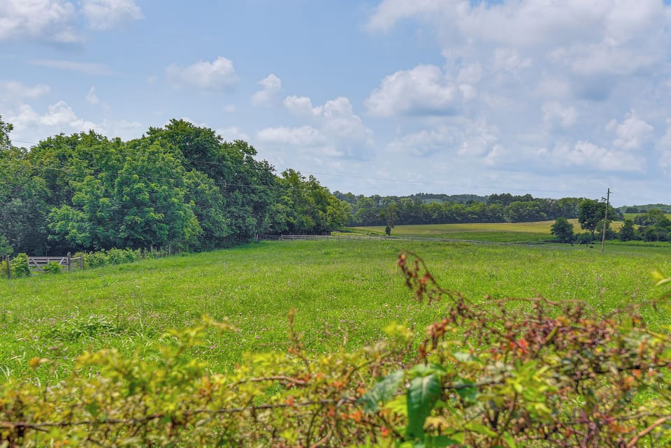 Surrounding Property