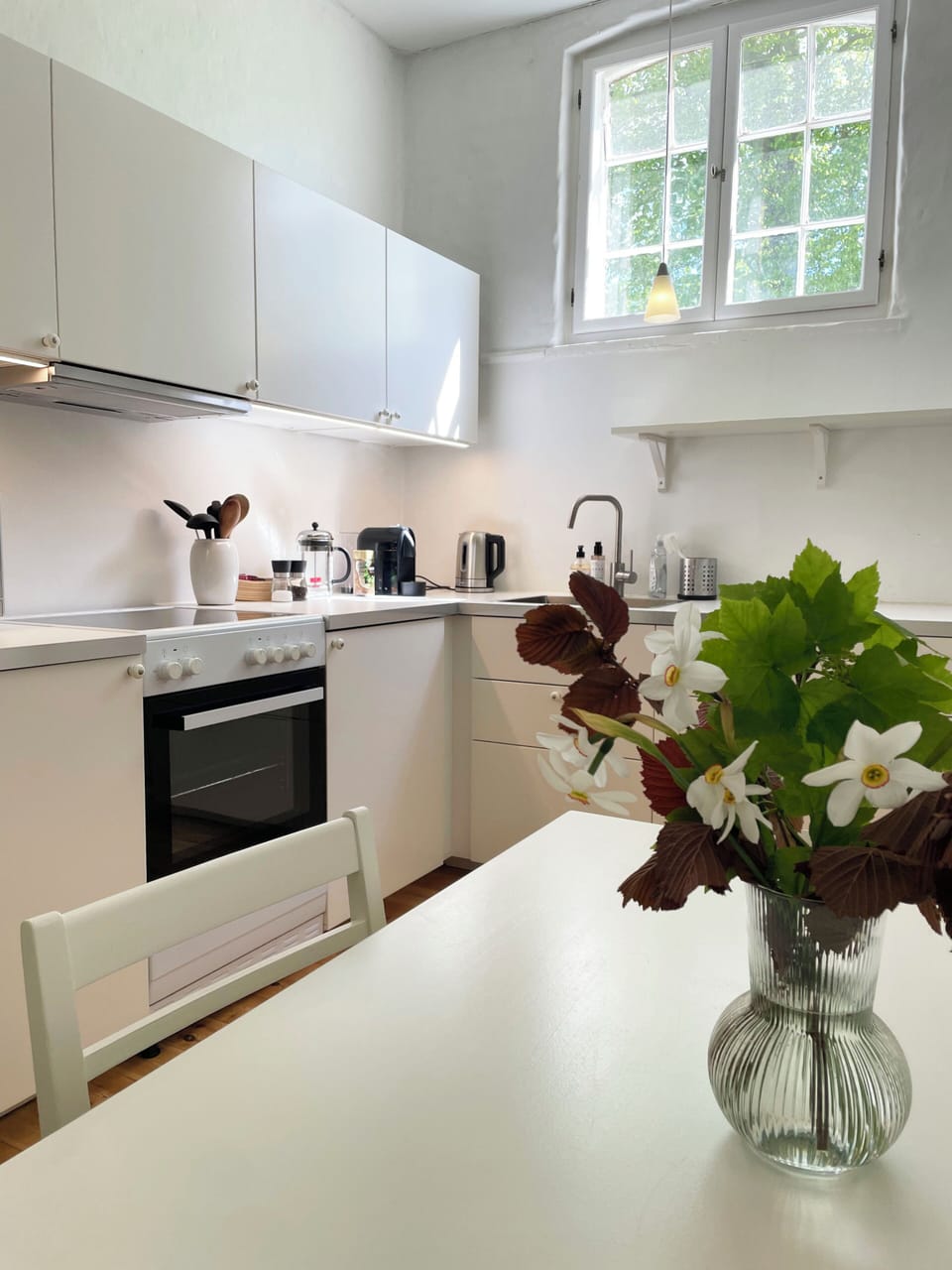 Apartment, Pets Allowed, Courtyard View | Private kitchen