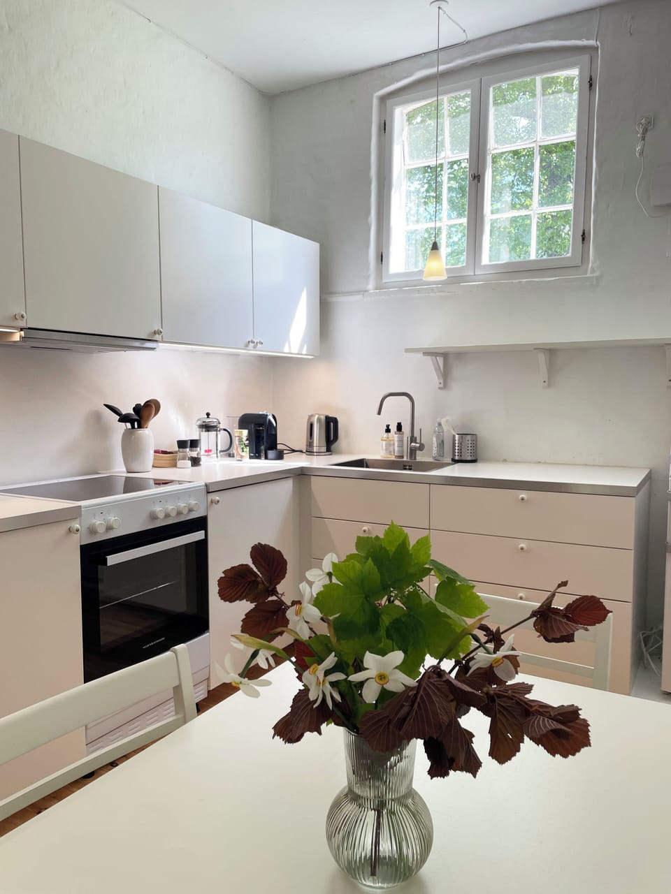 Apartment, Pets Allowed, Courtyard View | Private kitchen