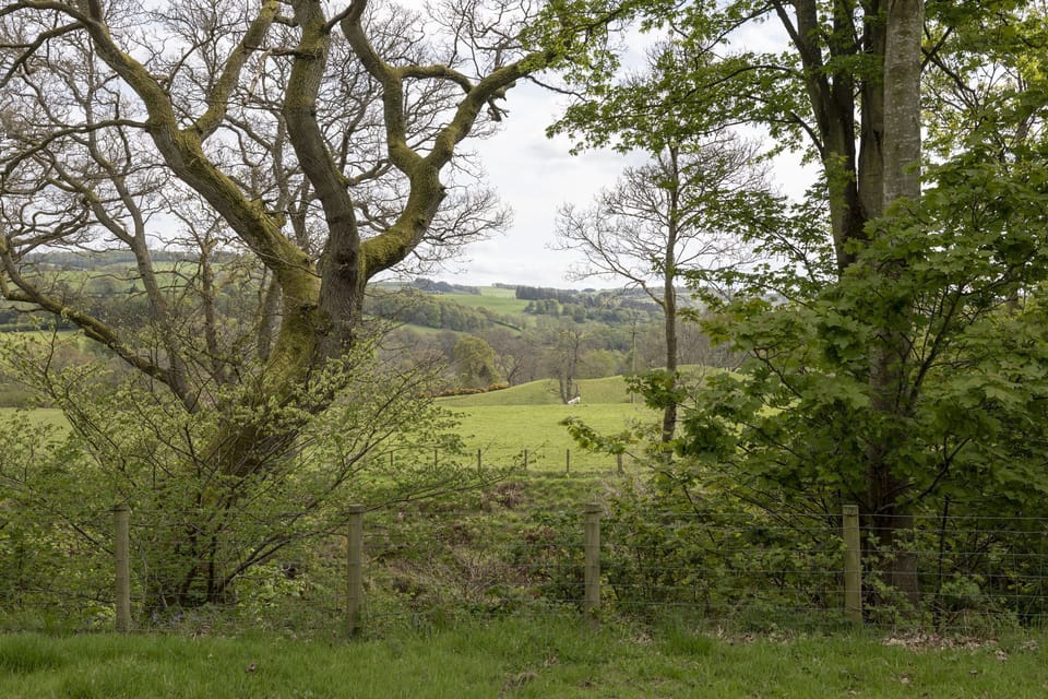 Sunderland Farmhouse - superb views from the garden