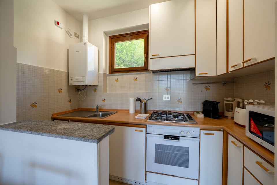 Apartment, 1 Bedroom, Balcony, Lake View | Private kitchen | Espresso maker, coffee/tea maker, electric kettle