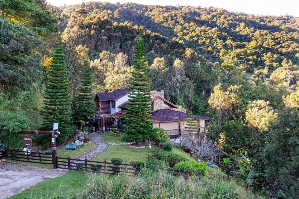 Deluxe Cabin, Mountain View | Property grounds