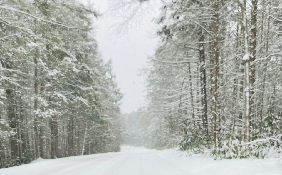 Winter wonderland for skiers, sledding, and hiking.