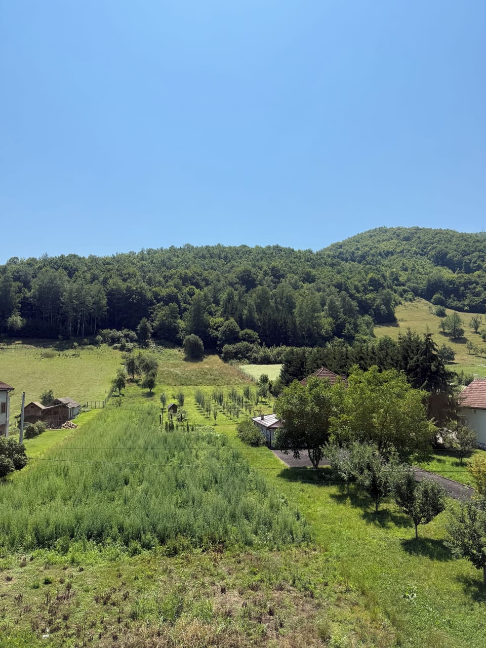 Comfort Double Room | Mountain view