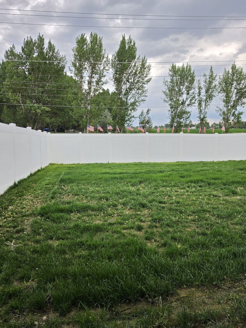 Yard
