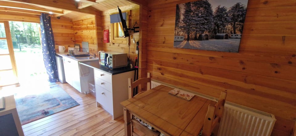 Fridge, microwave, stovetop, electric kettle