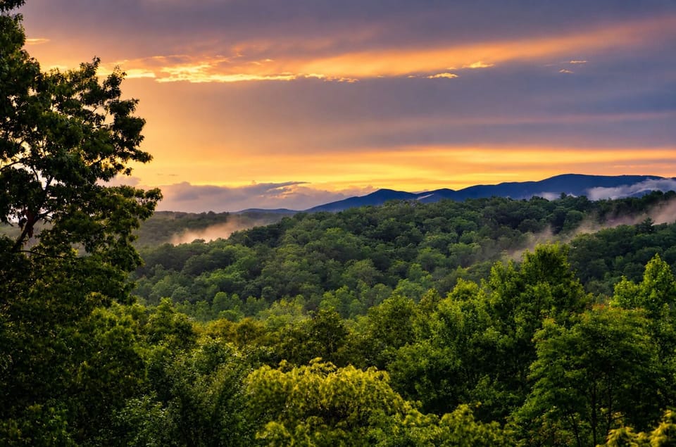 The view from the Lodge overlooks Hoot Owl Hollow, with Big Frog Mountain framing the horizon.