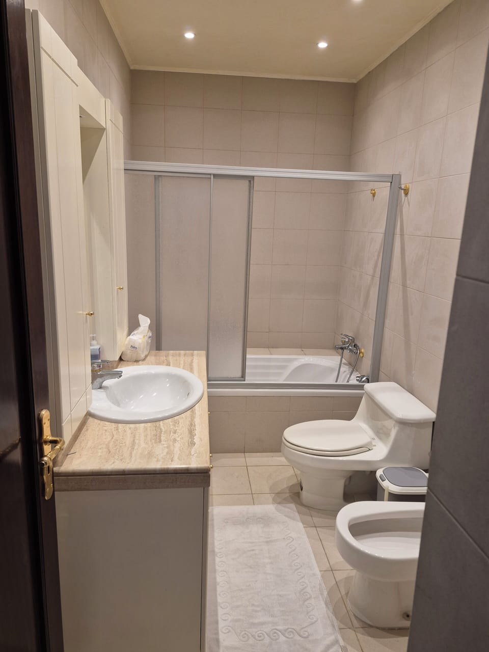 Towels, soap, shampoo, toilet paper