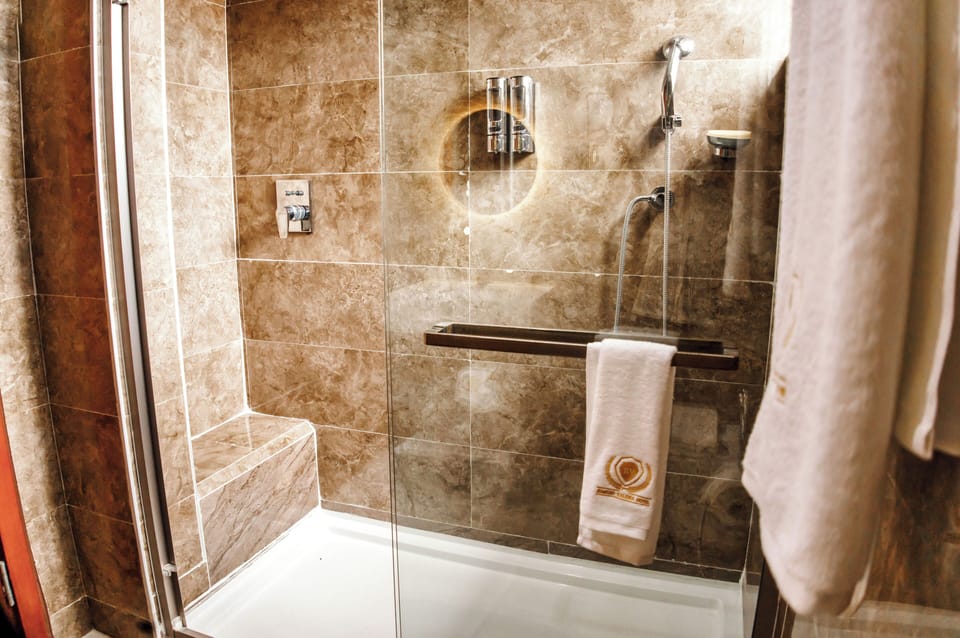 Deluxe Suite | Bathroom | Shower, hair dryer, towels, soap