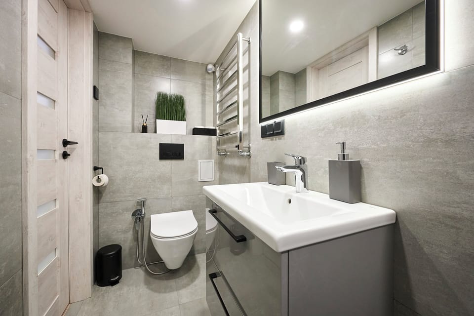 Shower, hair dryer, slippers, bidet