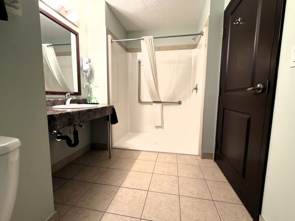 Standard Room, 1 King Bed, Accessible Bathtub, Non Smoking | Bathroom | Hair dryer, towels, soap, shampoo