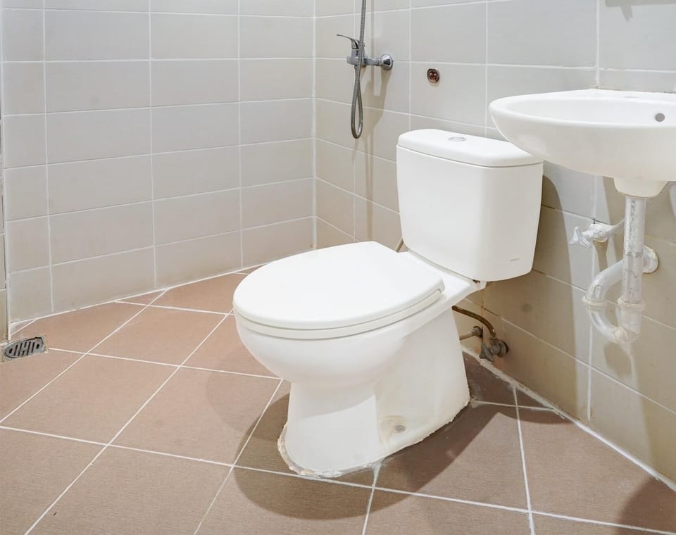 Deluxe Double Room | Bathroom | Shower, bidet, towels, soap