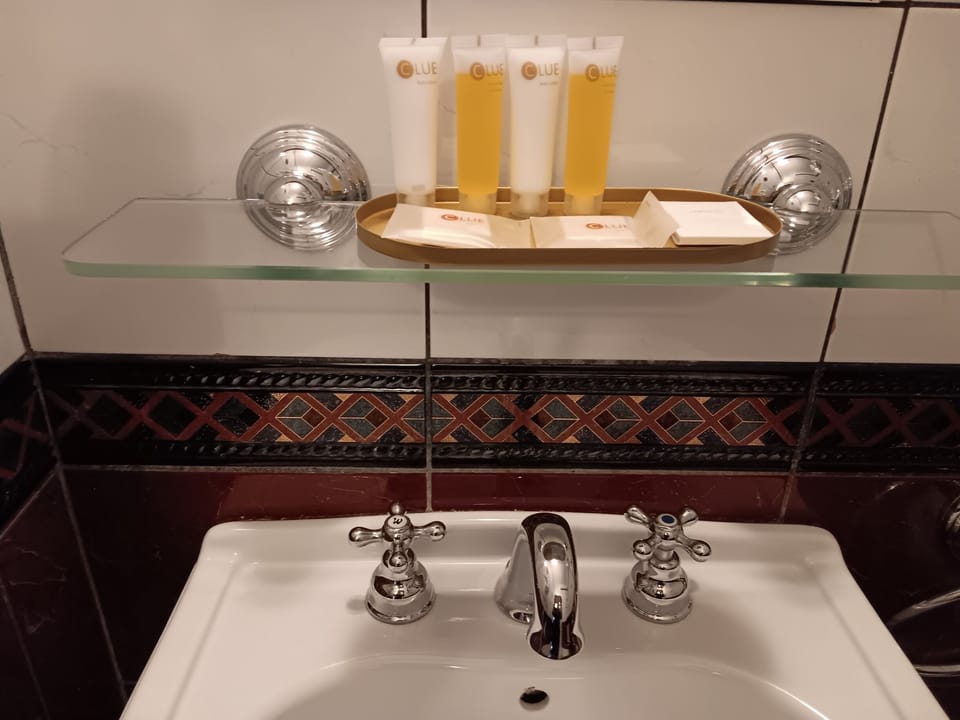 Gallery Double or Twin Room, City View | Bathroom shower