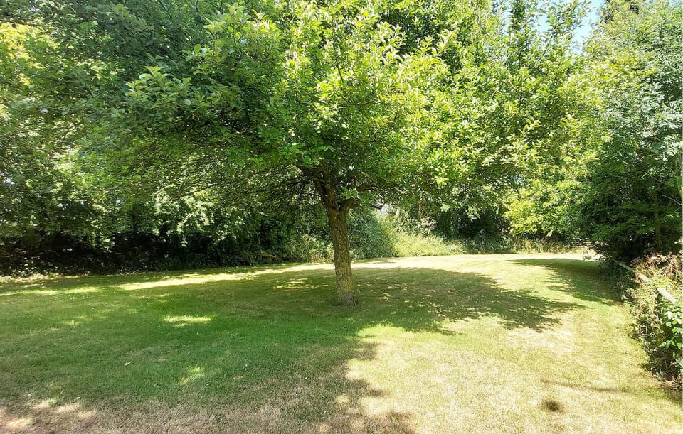 outside