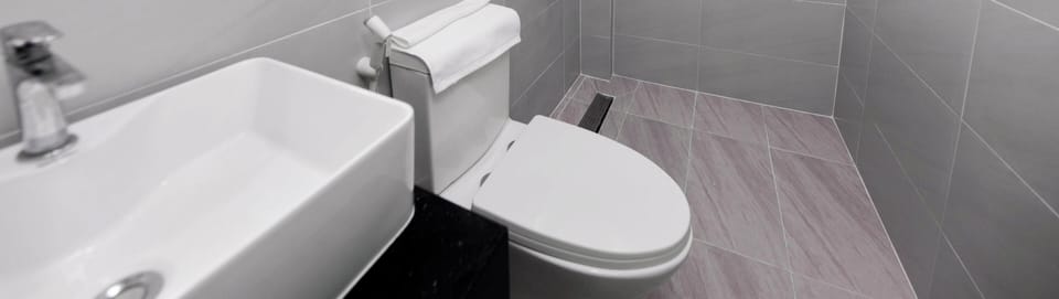 Deluxe Double Room Single Use, City View | Bathroom | Shower, hair dryer, towels, soap