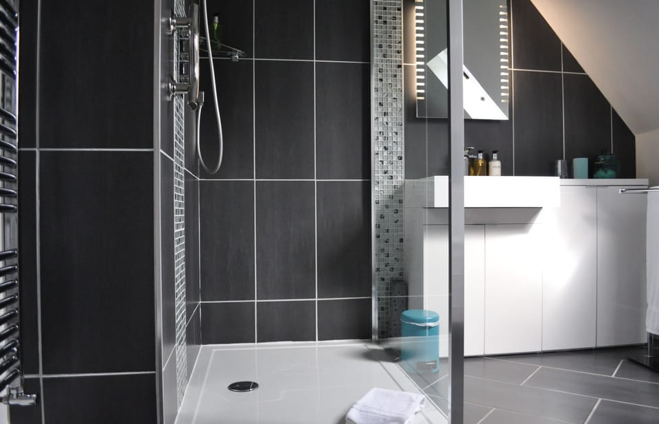 Deluxe Twin Room | Bathroom | Shower, free toiletries, hair dryer, towels