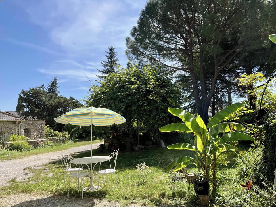 Vue du jardin avec le salon de jardin du studio.