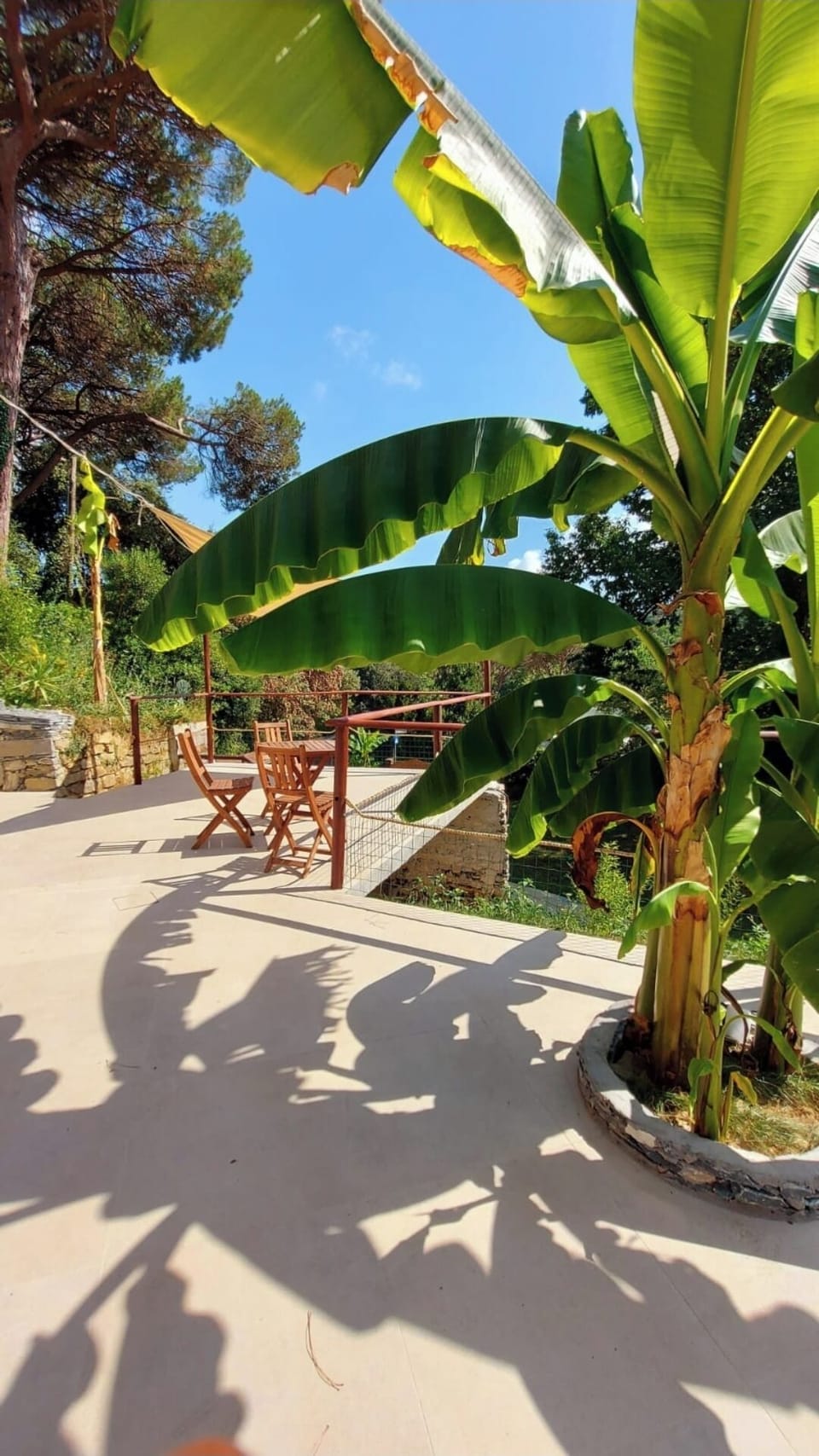 Terrace/patio