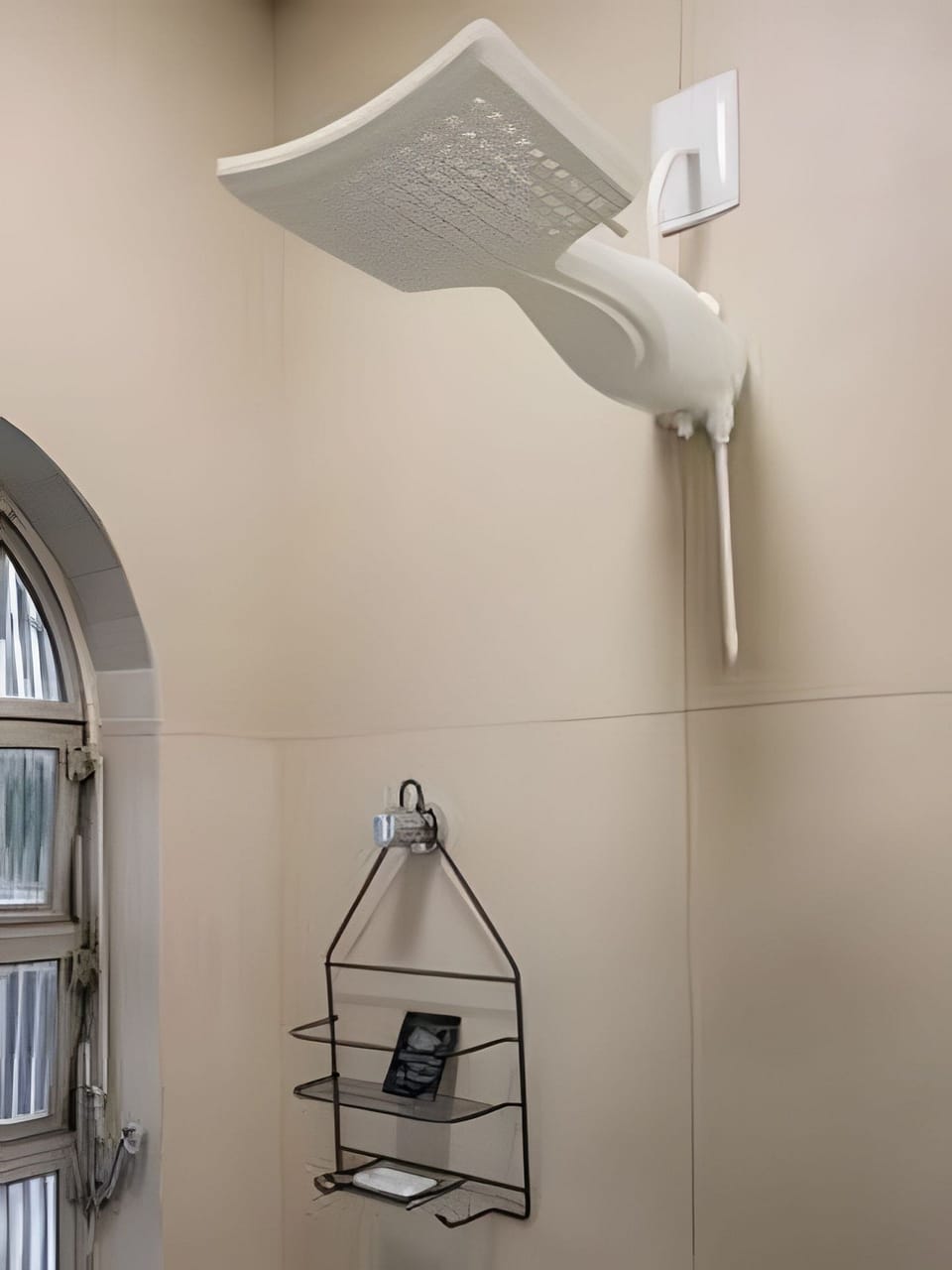 Apartment | Interior
