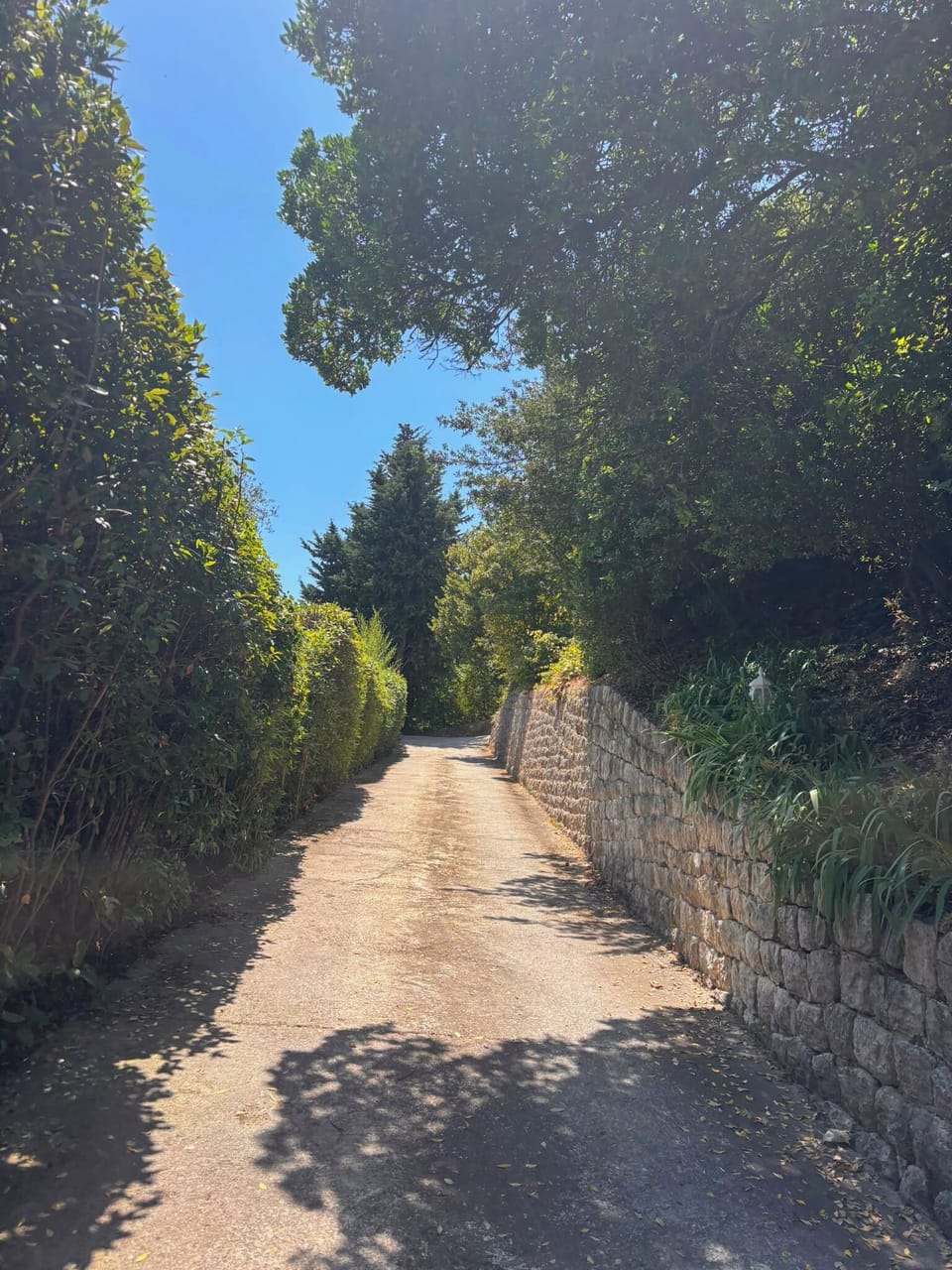 Private drive / esplanade and entrance
