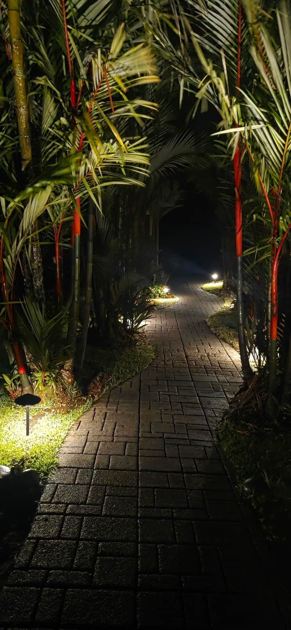 Walkway night