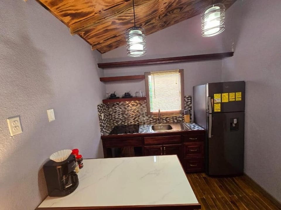 Mini-fridge, microwave, stovetop, dishwasher