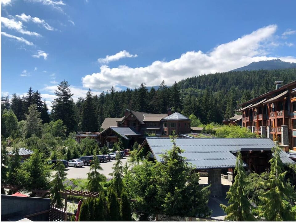 Whistler Resort Club: Mountain and forest views