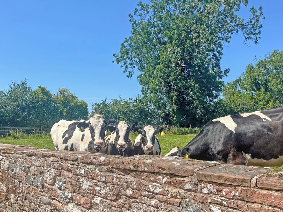 Surrounding area | Waverton Hall Cottage - Waverton Retreats, Wigton
