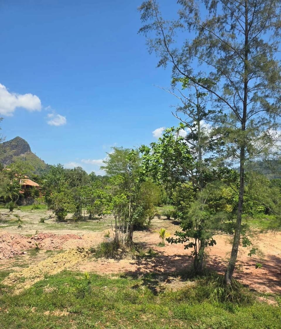 Single Room, Hill View | Terrace/patio