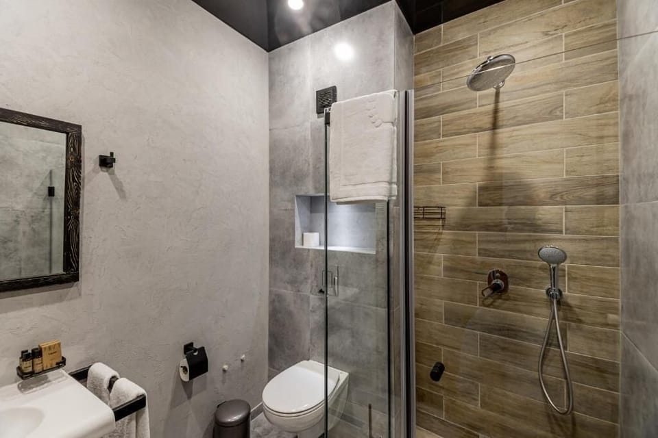 Shower, free toiletries, hair dryer, slippers